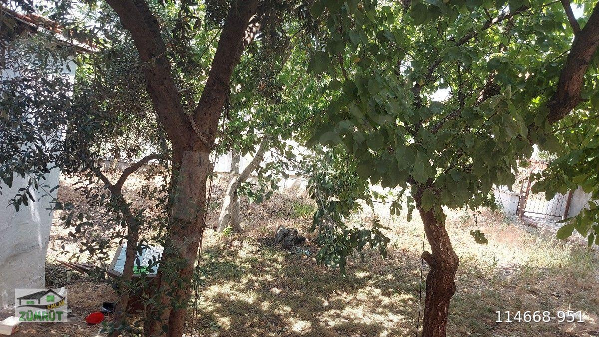sütlüce mah 2+0 kiralık daire uygun fiyata yüksel sokta bahçeli giriş kat uygun fiyata