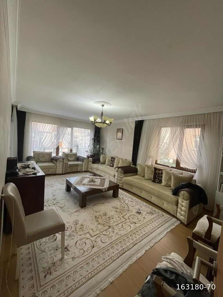 Harika Bahçeli 3+1