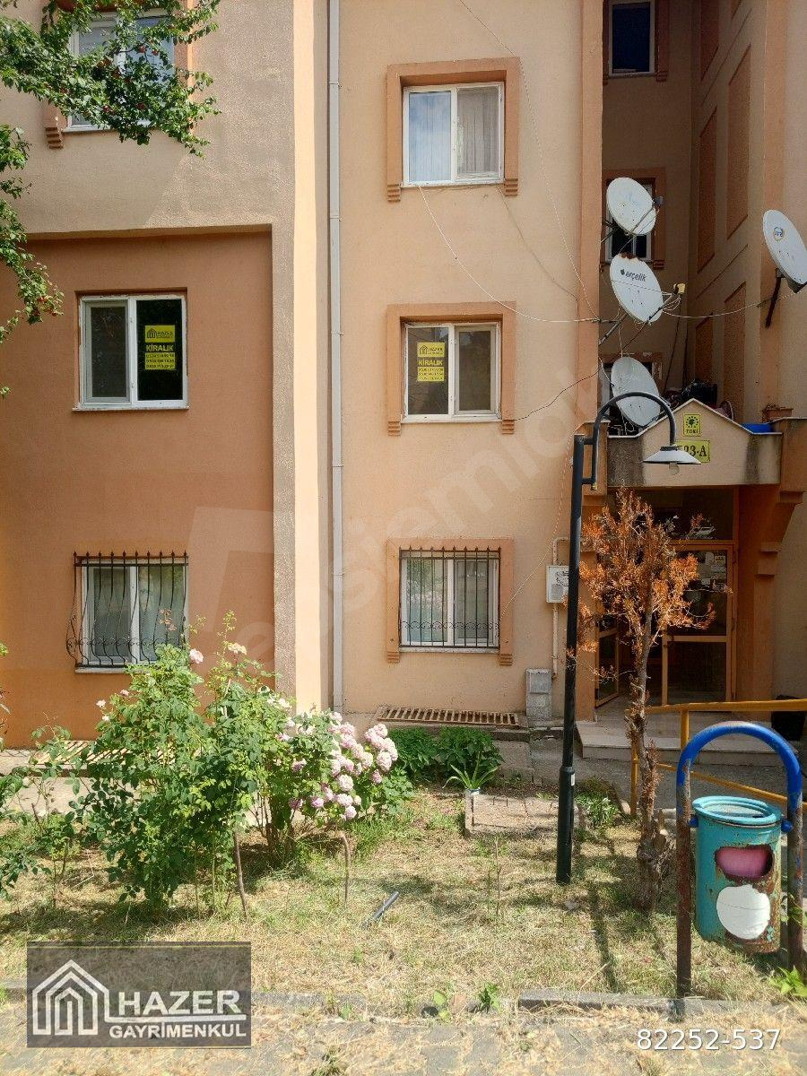 Korucuk merkezde 1700 odada kiralık daire