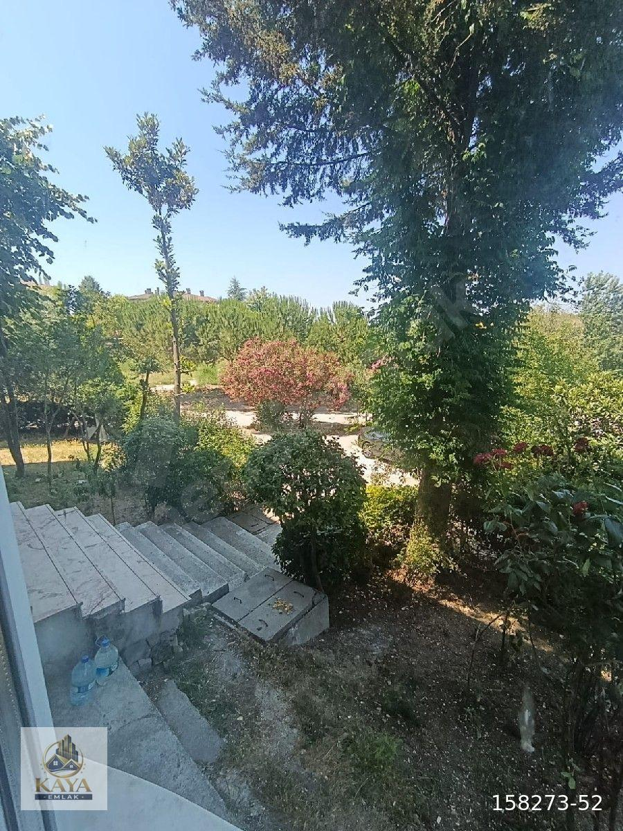 eşyali yeni bina