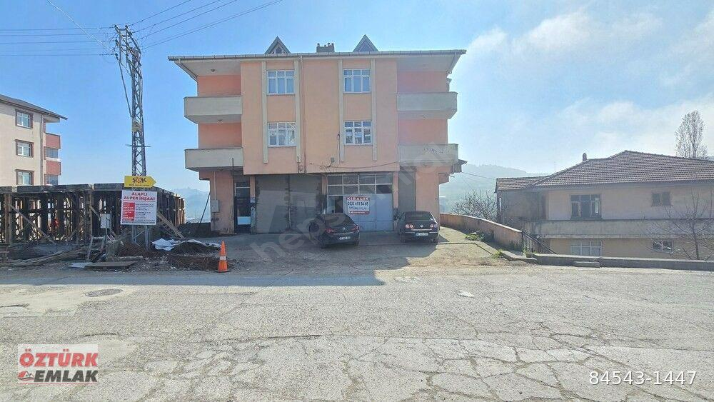 Müstakil binada Kiralık daire Alaplı Öztürk emlak Merkez mahallesi
