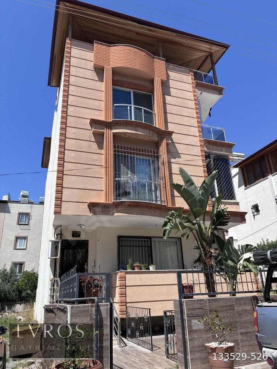 Palmiye hastanesinin sokağında 4+1