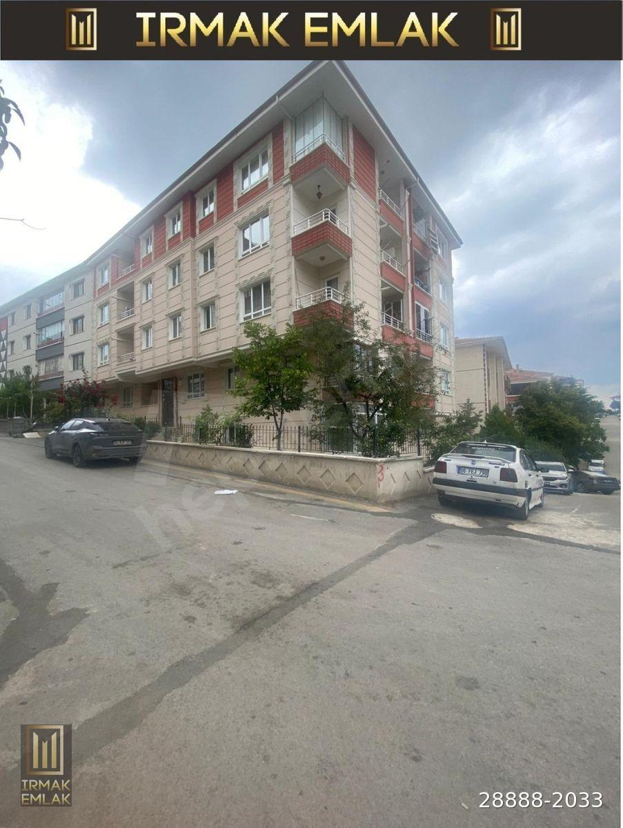 Süvari Mahallesi Ara Katta Kiralık 3+1 Daire