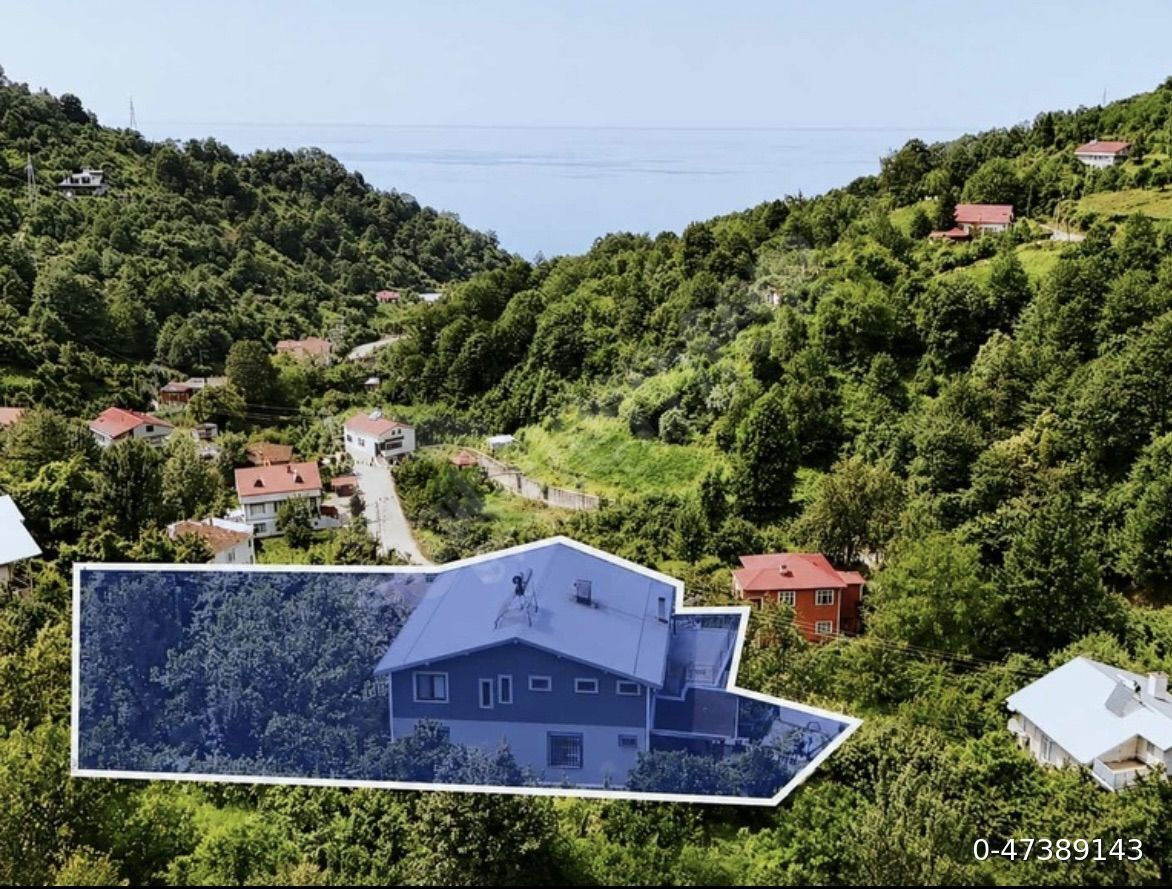 HOPA ESENKIYIDA DENİZ VE DOĞA MANZARALI 3 KATLI BİNA VE ARSASI