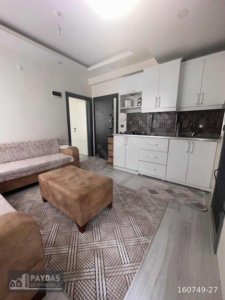 Batman Merkez kültür mahallesi kiralık 1+1 eşyalı daire
