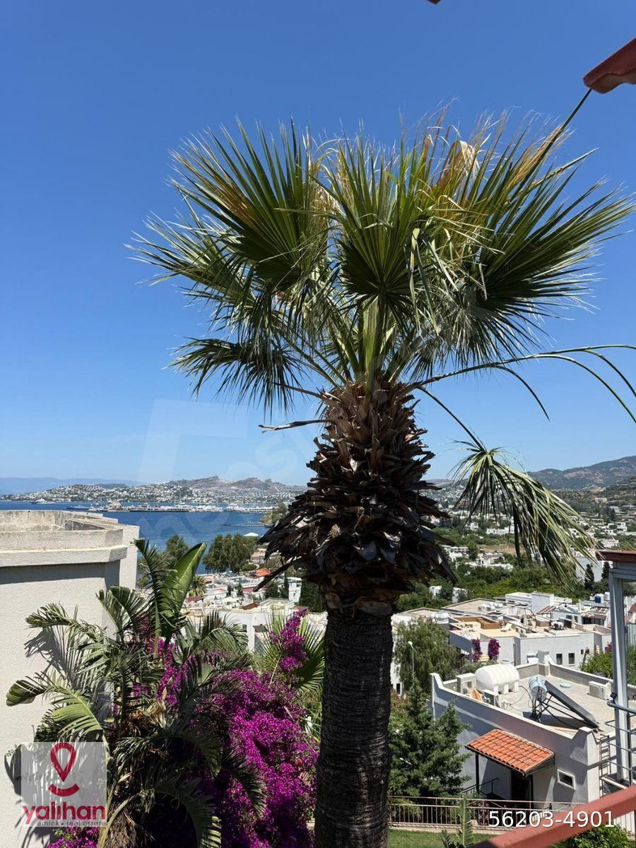 Bodrum_Yalıkavak'ta_Kiralık_Eşyalı_Daire_2+1