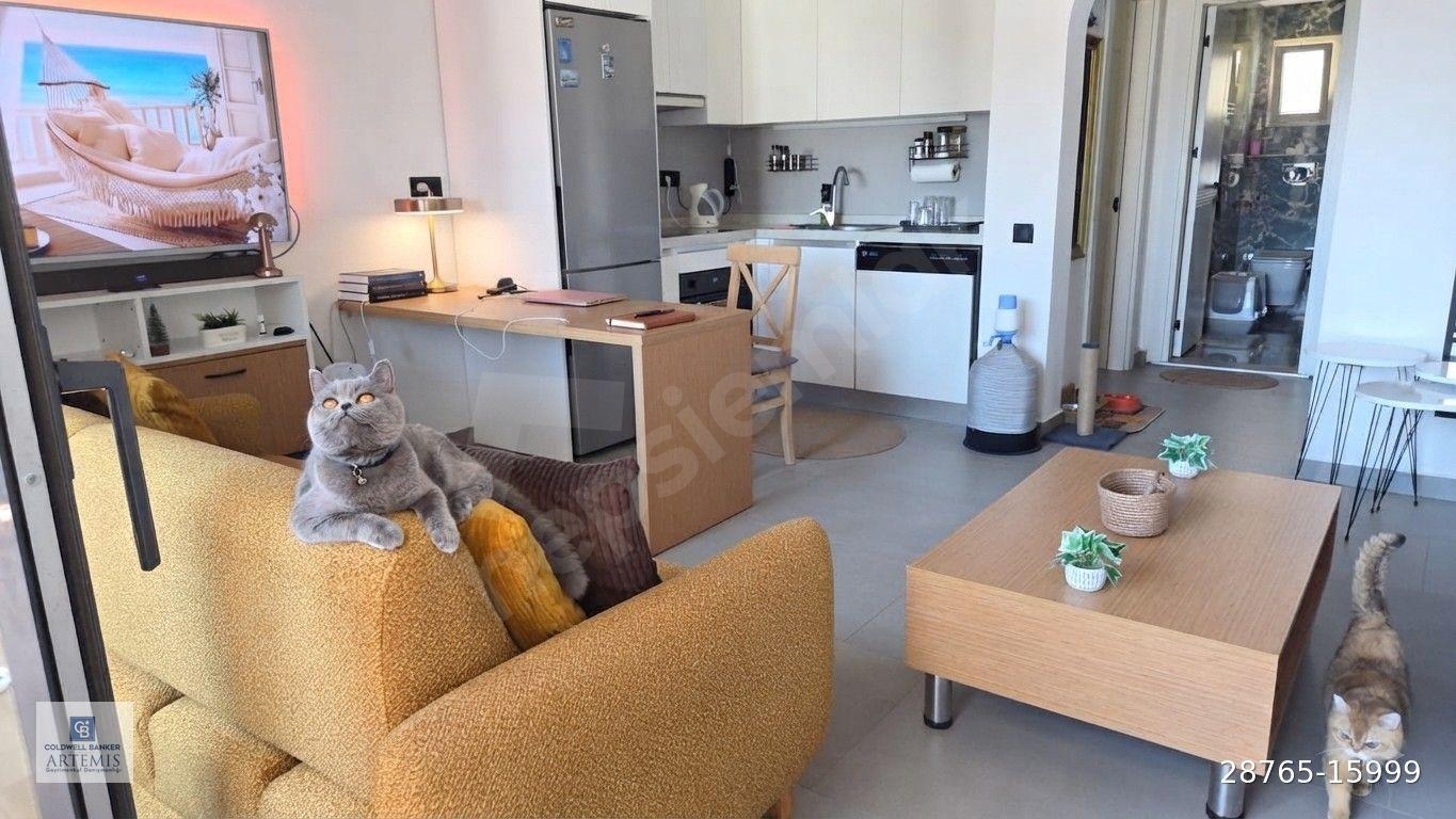 Bodrum Bitez Asarlıkta Rezidans Havuzlu Kiralık Eşyalı 1+1 Daire