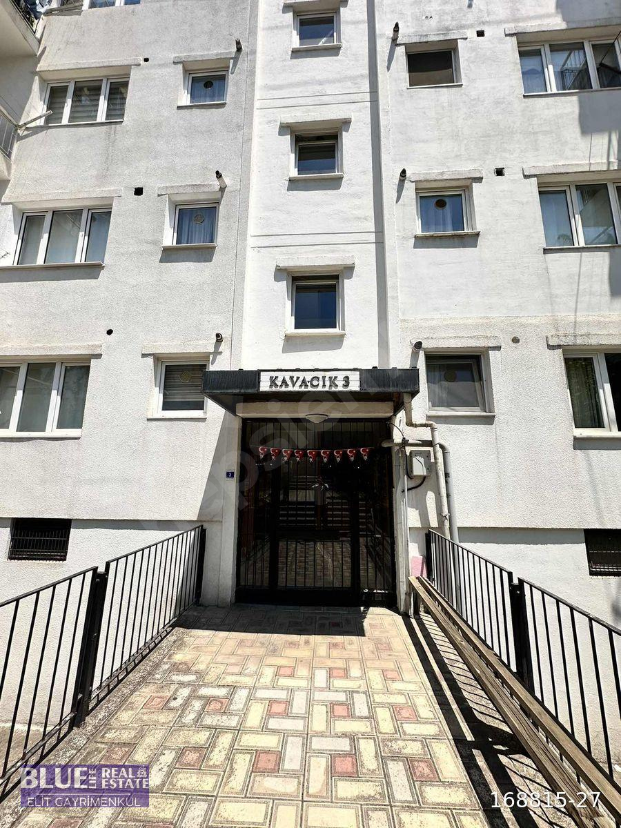 BLUE LİFE ELİT DEN KESTEL DE KİRALIK DAİRE