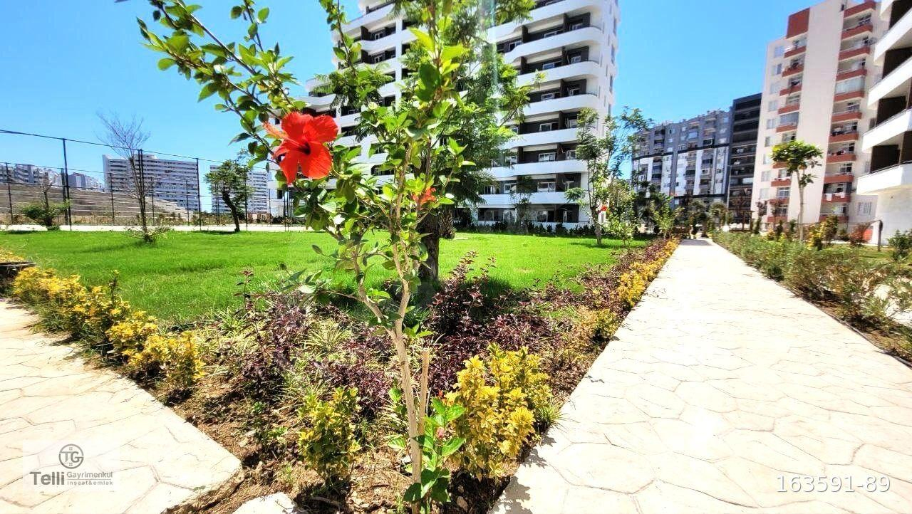 TG'DEN TÖMÜK İLKEM MARSHALL DA 1+1 SATILIK DAİRE