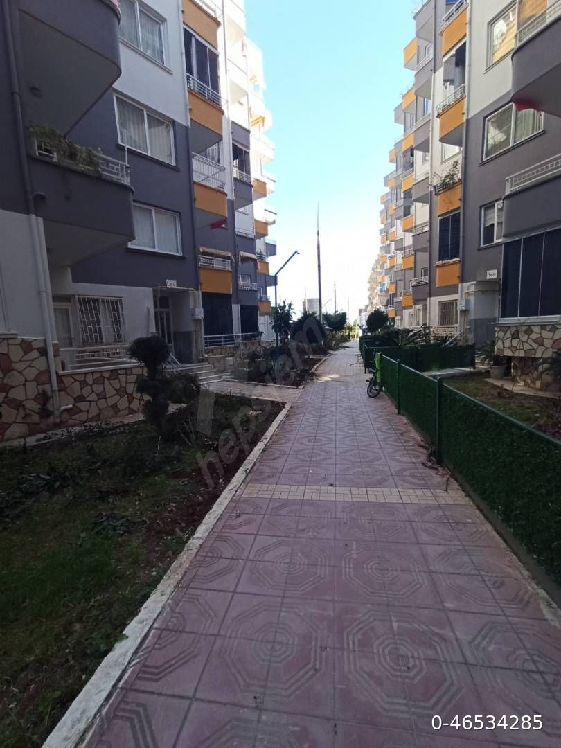 Sahibinden Satılık 2+1 Daire – Tece