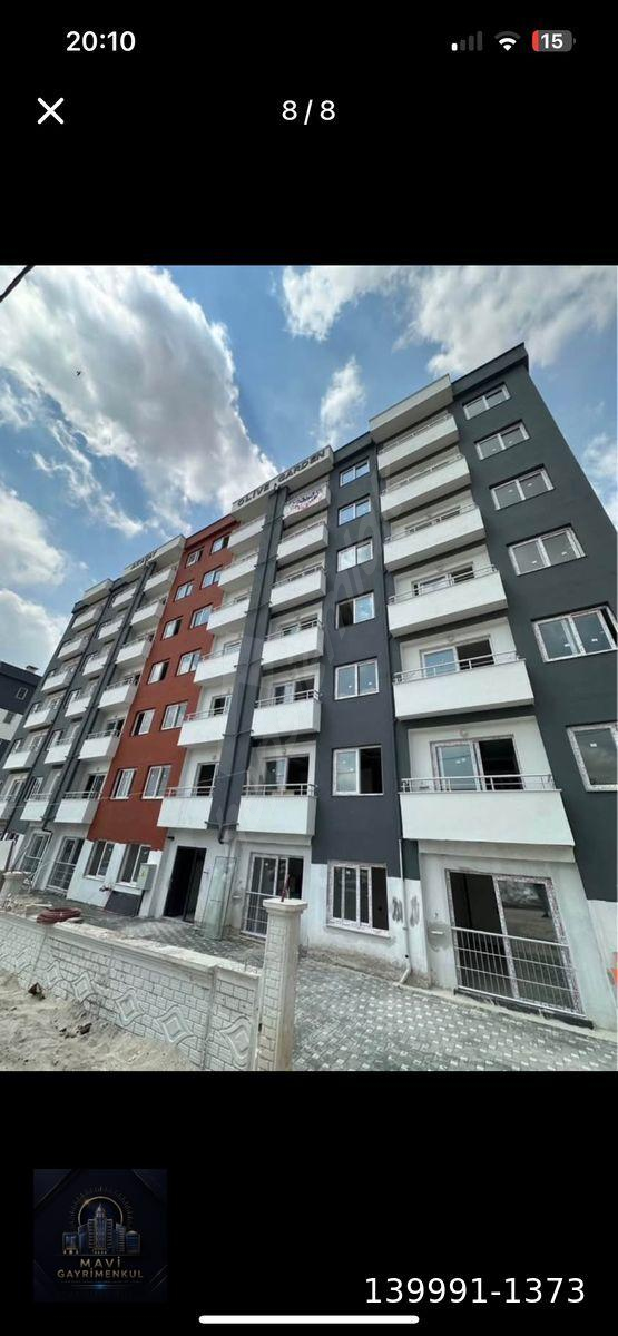 SARIÇAM SOFUDEDE BİTMİŞ İSKANLI 1+1