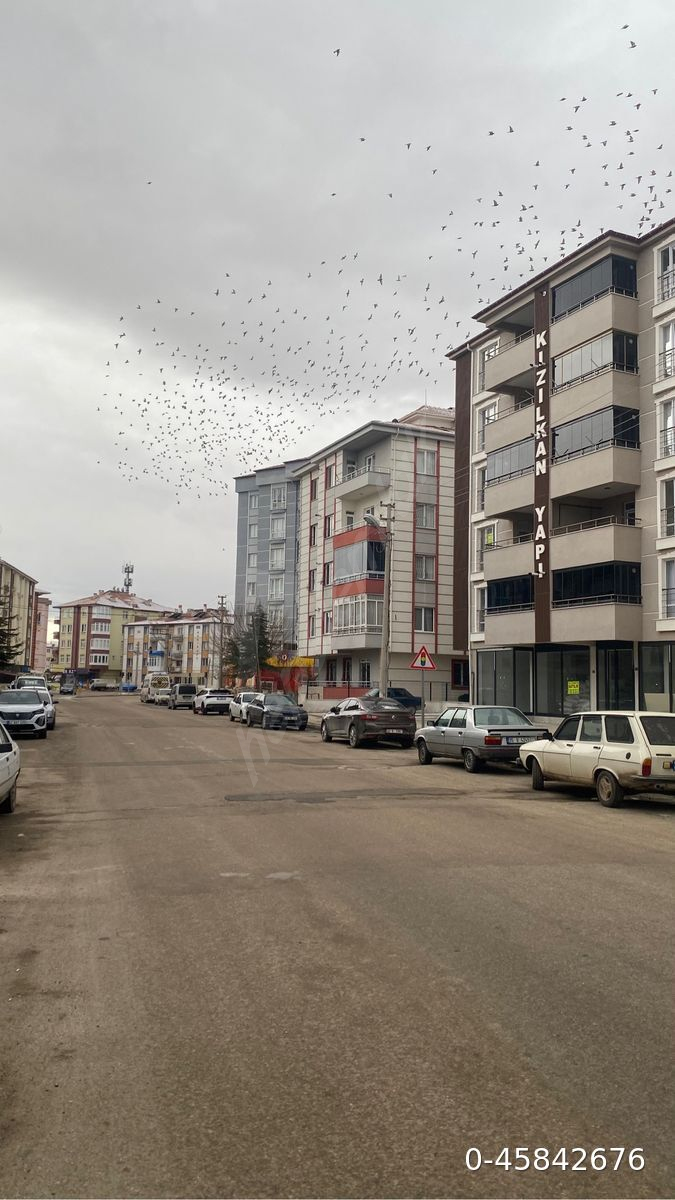 Sahibinden kiralık