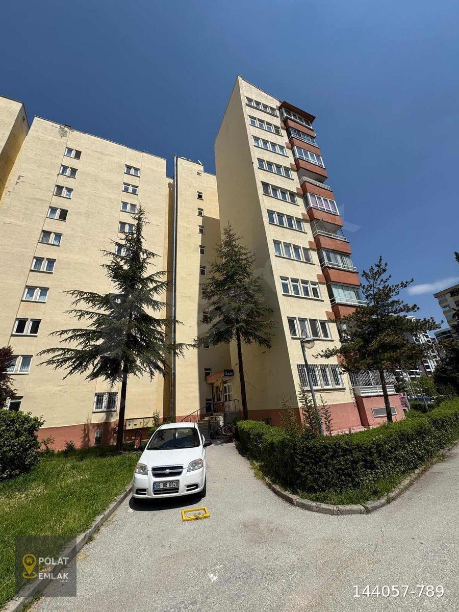 POLAT LİVEDAN MERKEZDE GALA KARŞISI FERAH 3+1