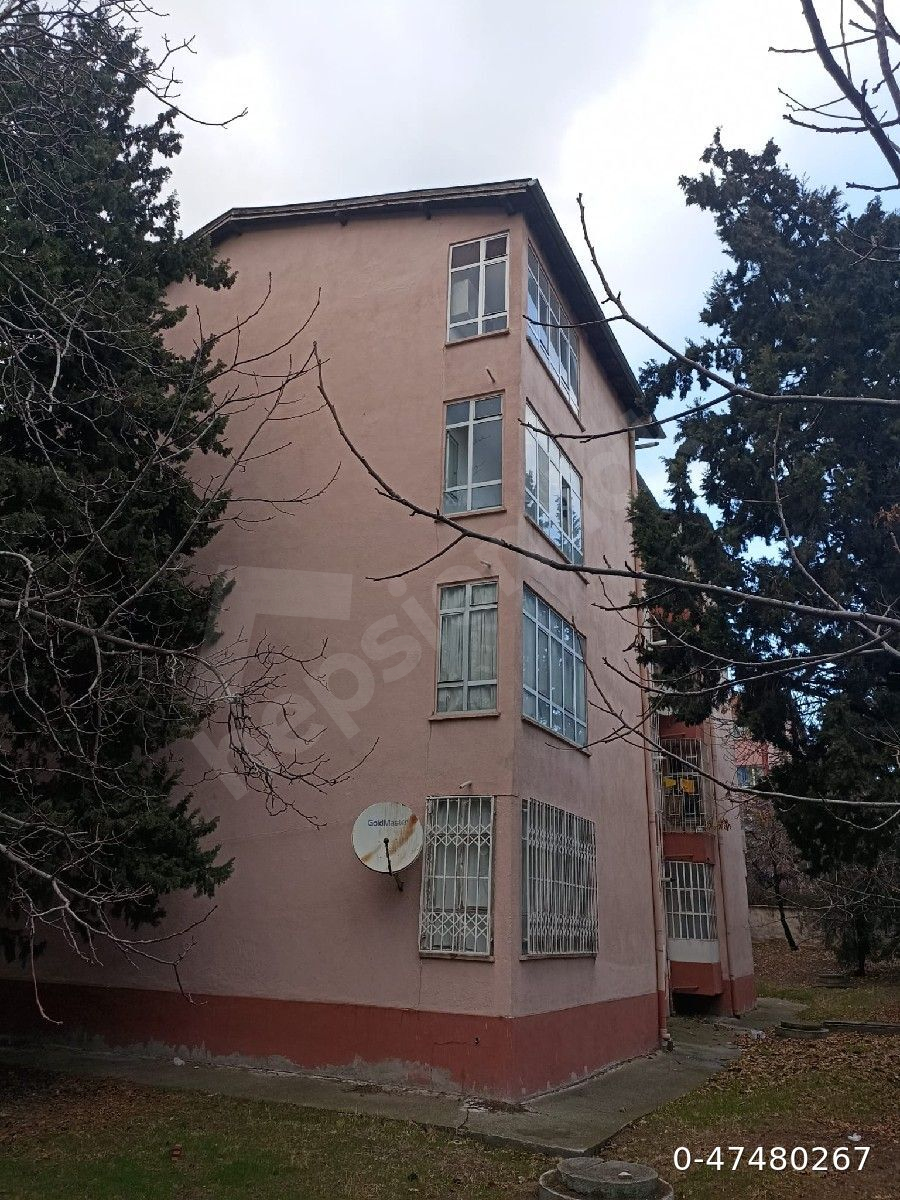 Sahibinden Türkiş Bloklarinda Kentsel Dönüşümde Satılık Daire