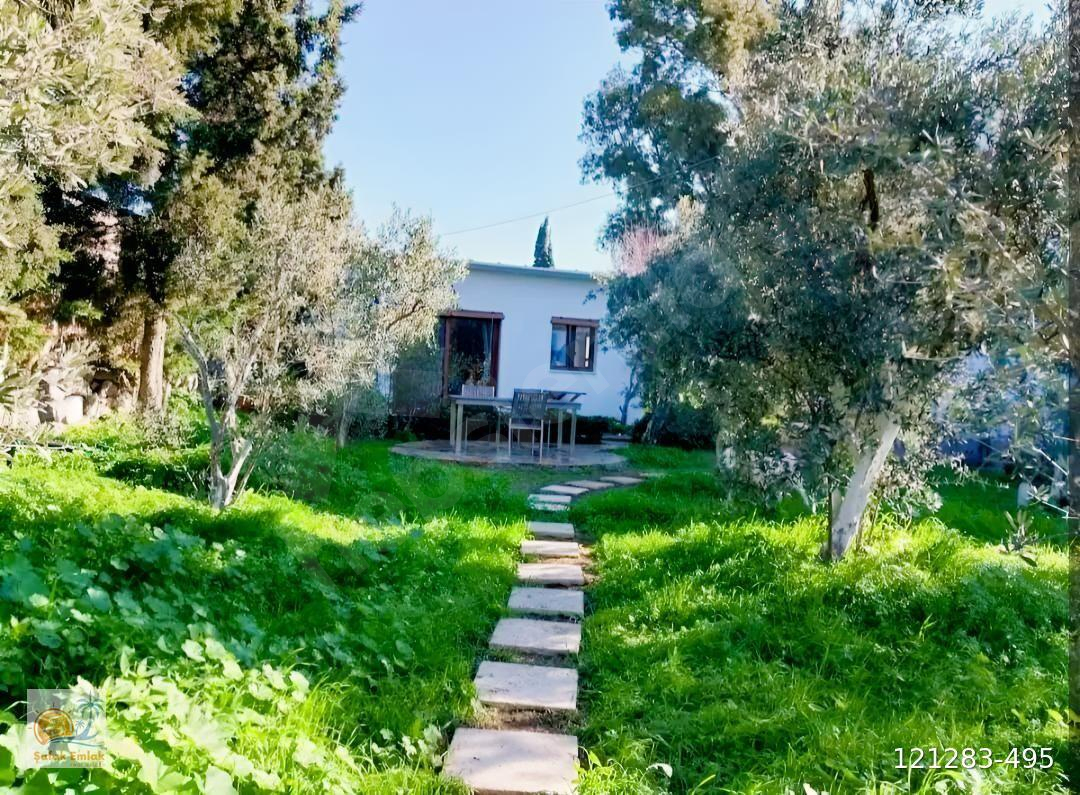 Gümüşlük Merkezde Kiralık Stüdyo