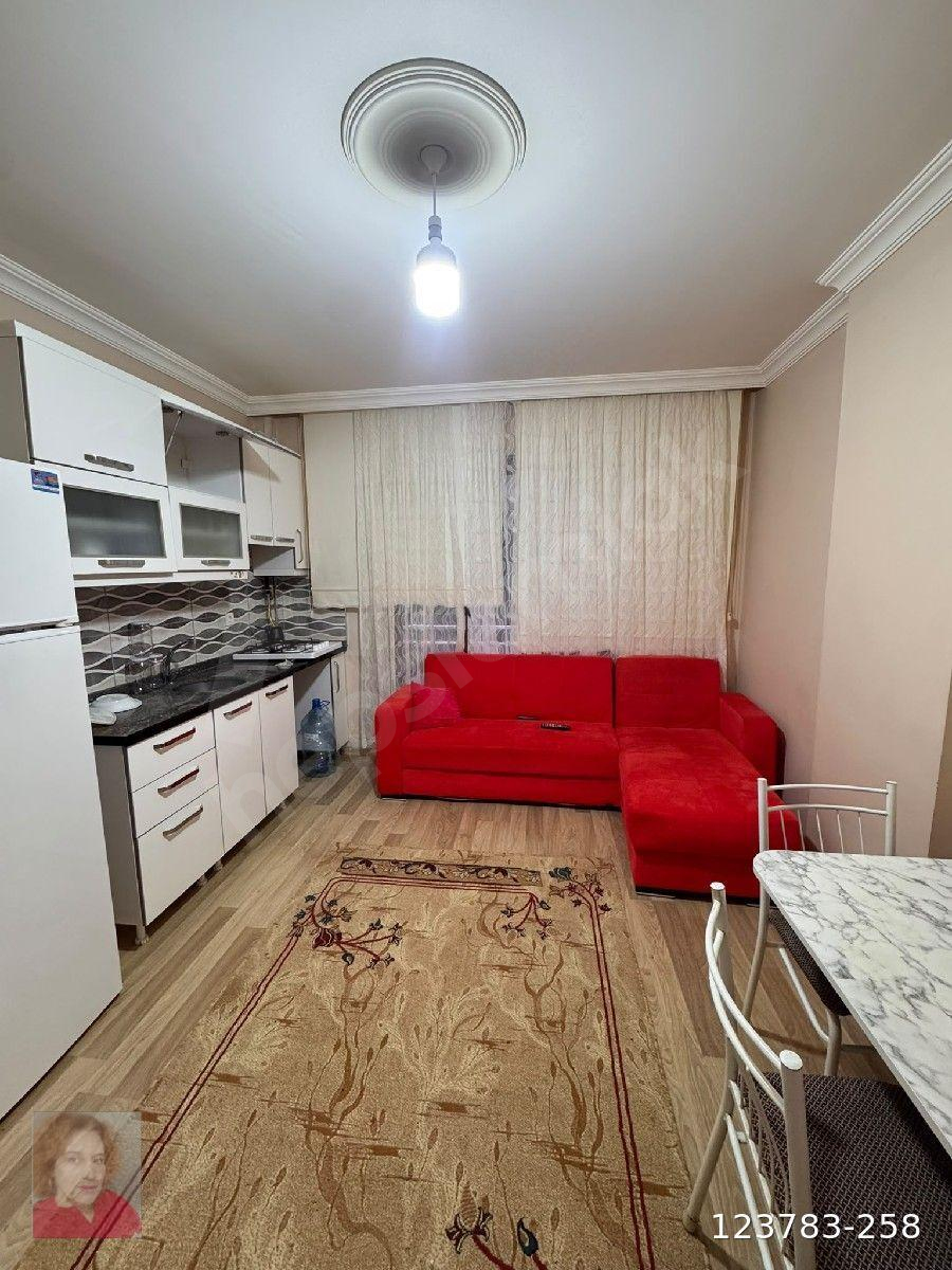 kiralık eşyalı 1+1