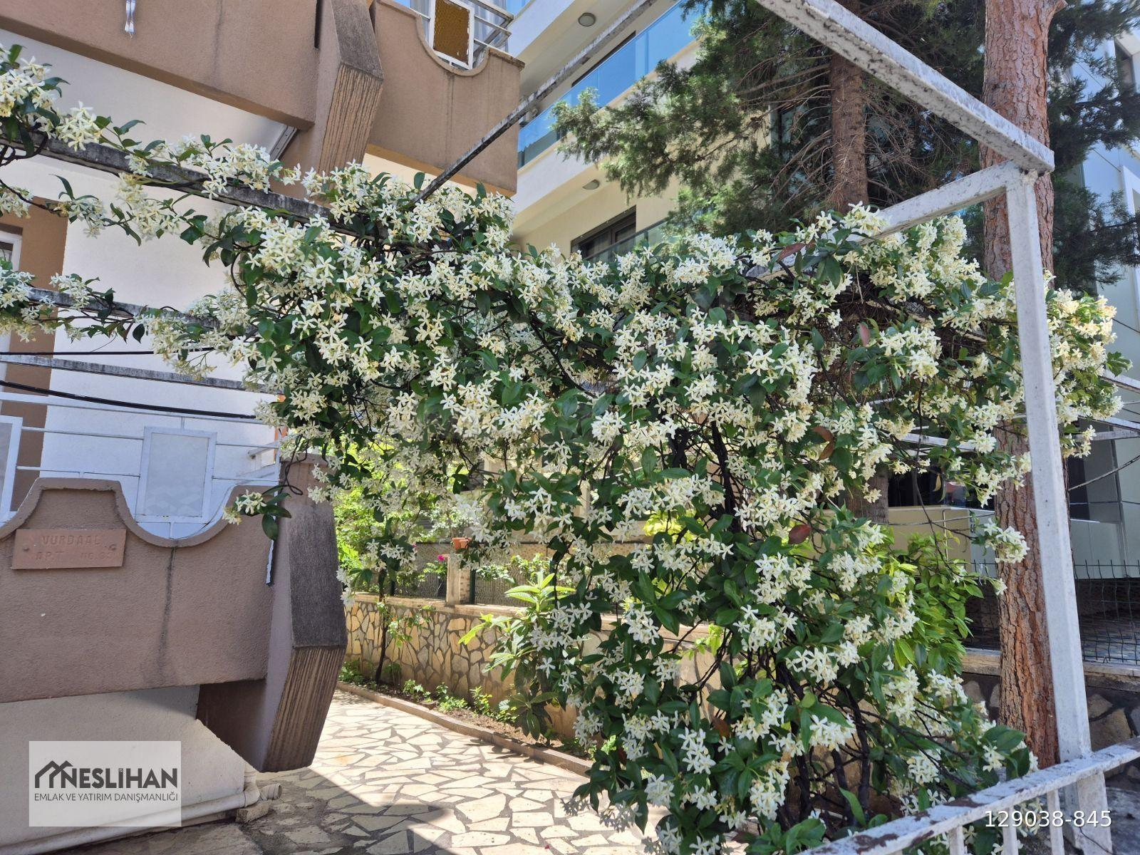 KUŞPINAR'DA YAŞLI VE ENGELLİ YAŞAMINA UYGUN YÜKSEK GİRİŞ KİRALIK