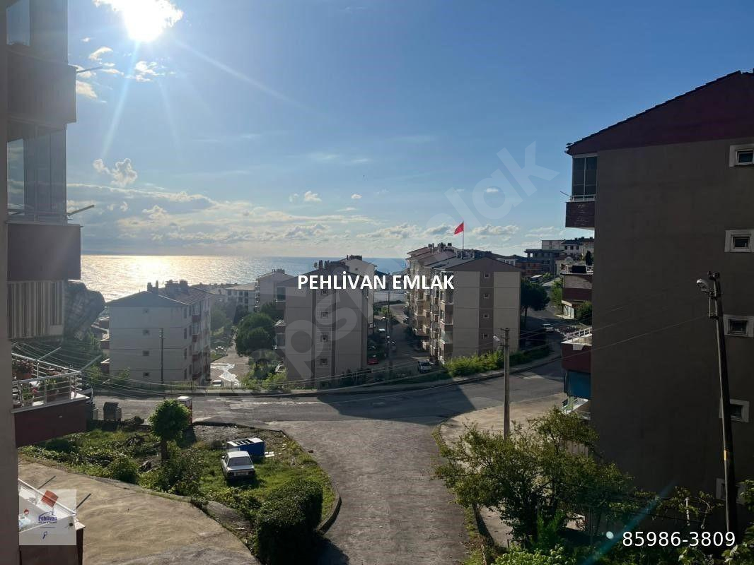 PEHLİVAN EMLAK Alaplı Yeni Siteler Yapılı Kiralık Daire