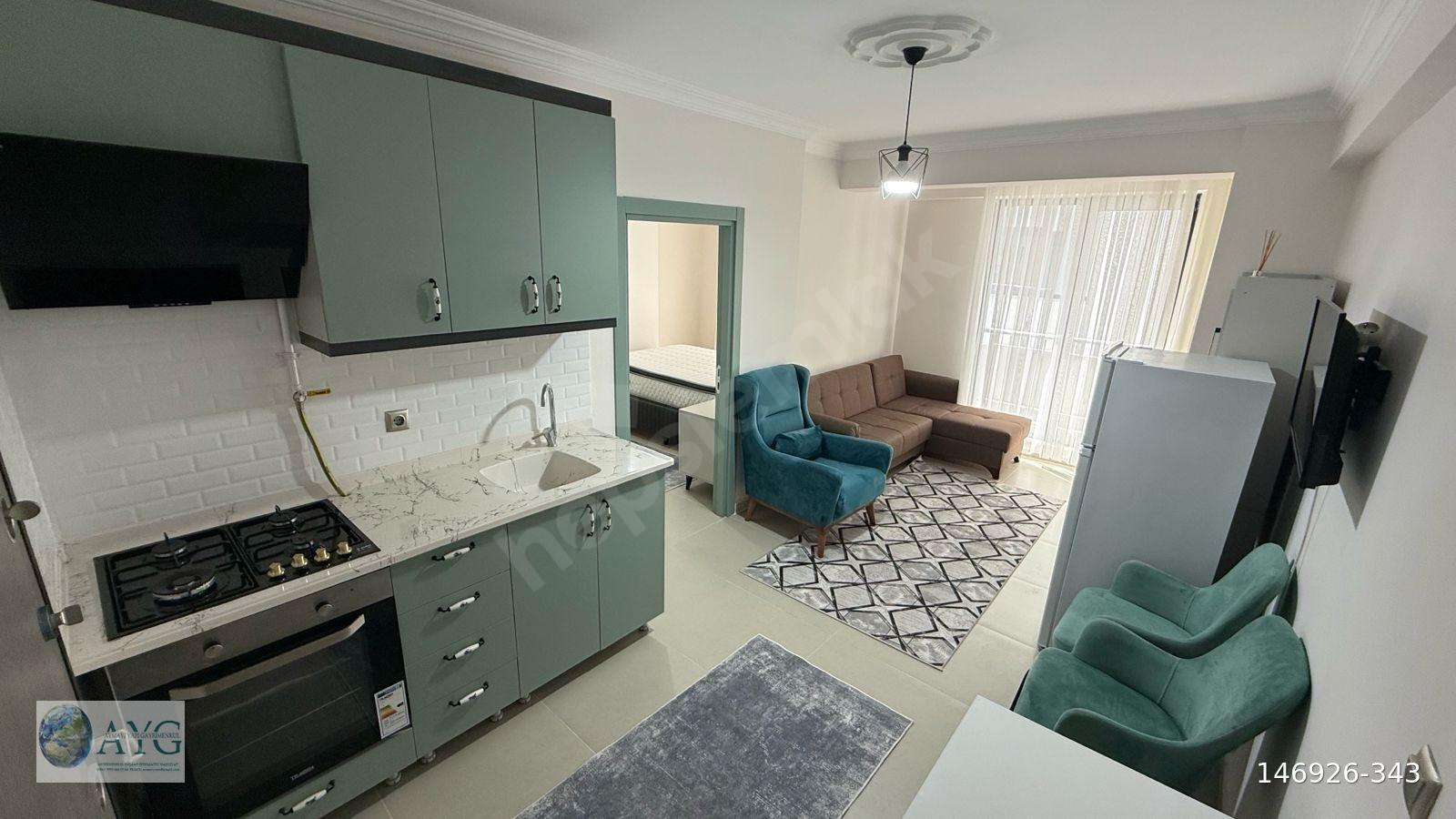 KİRALIK 1+1 ESYALI DAİRE MİLLET CADDESİ YAKINI