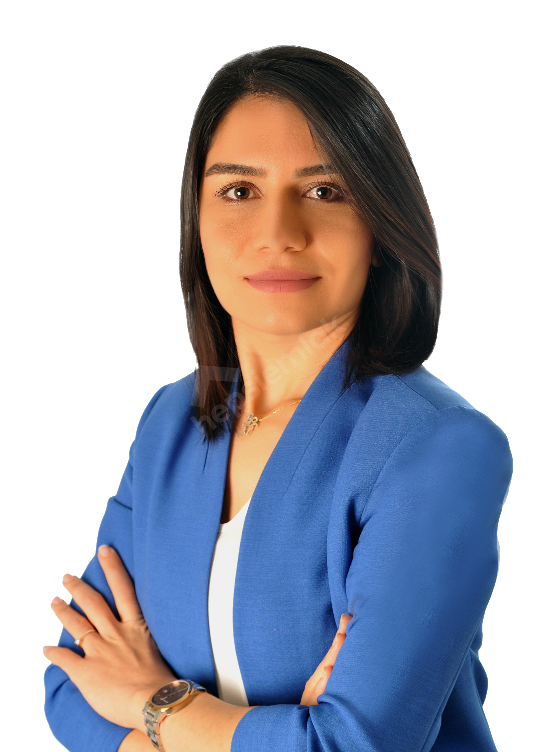 Yasemin AKDENİZ