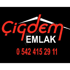 Çiğdem Aydınkalp