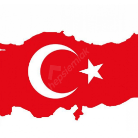 AHMET DORMAN Mühendis