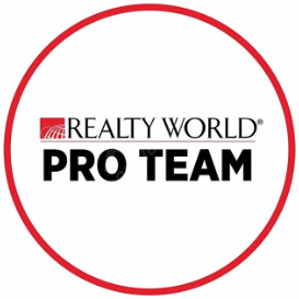 PRO  TEAM