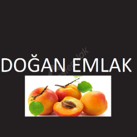 DENİZ DOĞAN