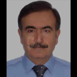 MAHMUT DİŞLİ