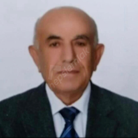 ali demircan