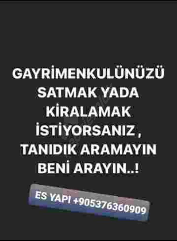 selim yıldız