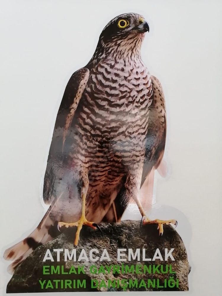 Atmaca Emlak
