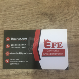 Efe Emlak