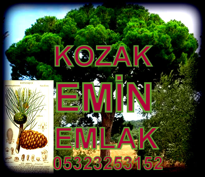 KOZAK EMİN EMLAK