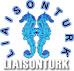 Lt Gayrimenkul