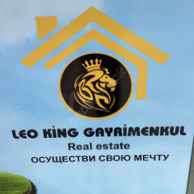 Leo King Gayrimenkul