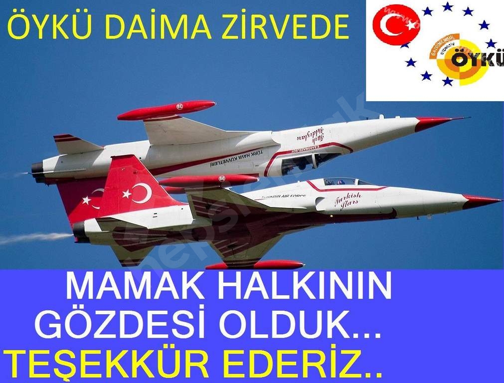 Öykü Gayrimenkul