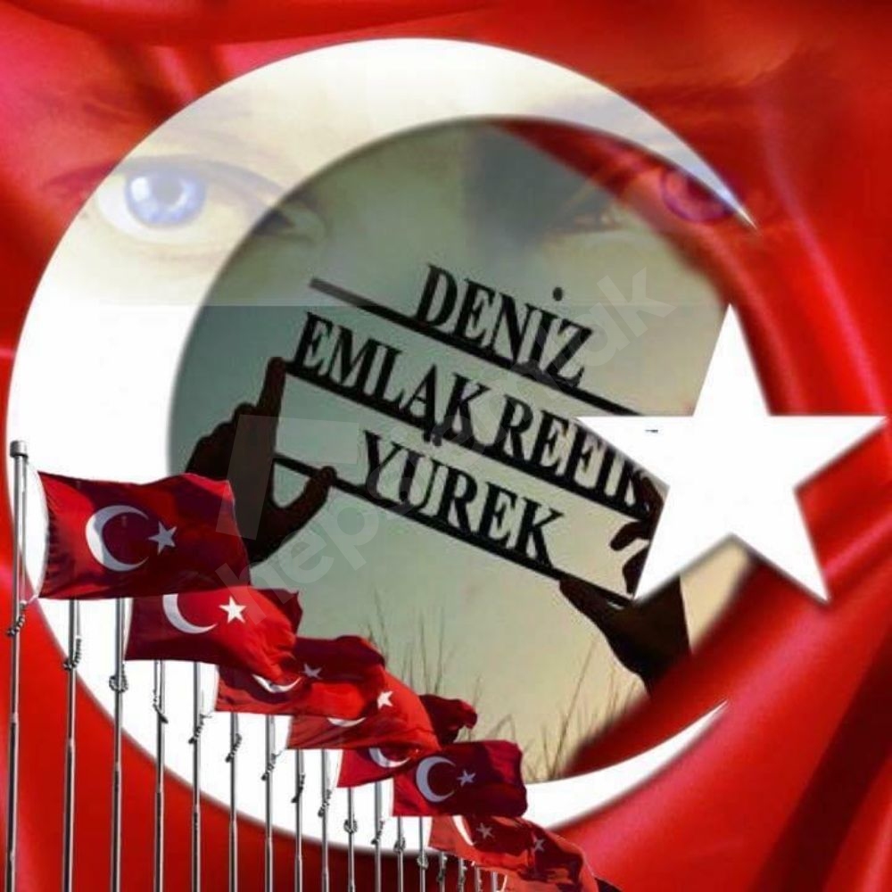 Deniz Emlak