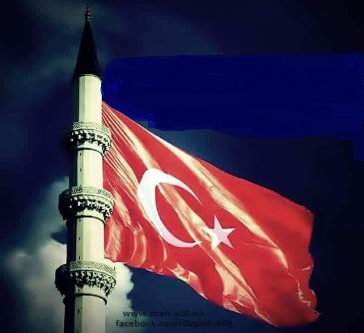Bayrak Emlak