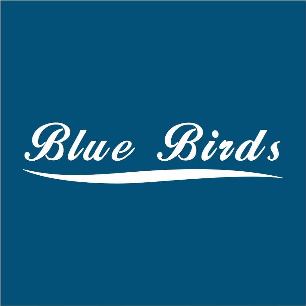 KUŞADASI BLUE BİRDS EMLAK REAL ESTATE MAKELAAR