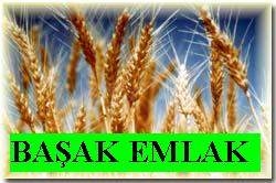 Başak Emlak