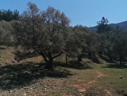 Kuşadası Davutlar Satılık