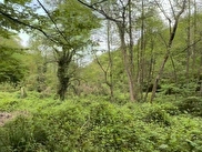 Beykoz Polonezköy Satılık 2900 m² Bahçe
