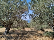 Ayvalık Namık Kemal Satılık