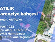 Kemer Merkez Satilik Arsa Tarla Bahce Fiyatlari Ilanlari Hurriyet Emlak
