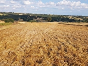 Silivri Büyük Çavuşlu Satılık