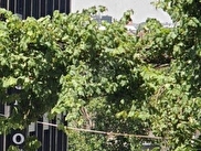 Şişli Halide Edip Adıvar Satılık