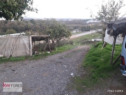 Pendik Satilik Arsa Tarla Bahce Fiyatlari Ilanlari Hurriyet Emlak
