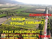 Sqb6bzycu5hovm
