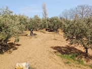 Gaziosmanpaşa Hürriyet Satılık